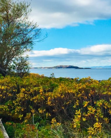 kamouraska-en-automne-quebec-le-mag