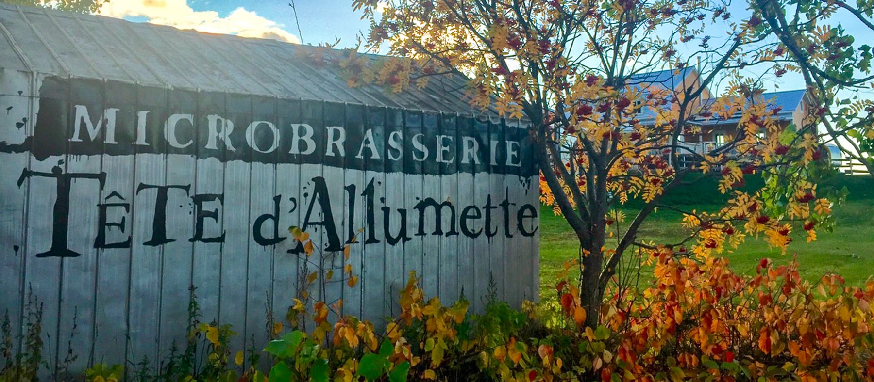 microbrasserie-tete-allumette-kamouraska-quebec-le-mag