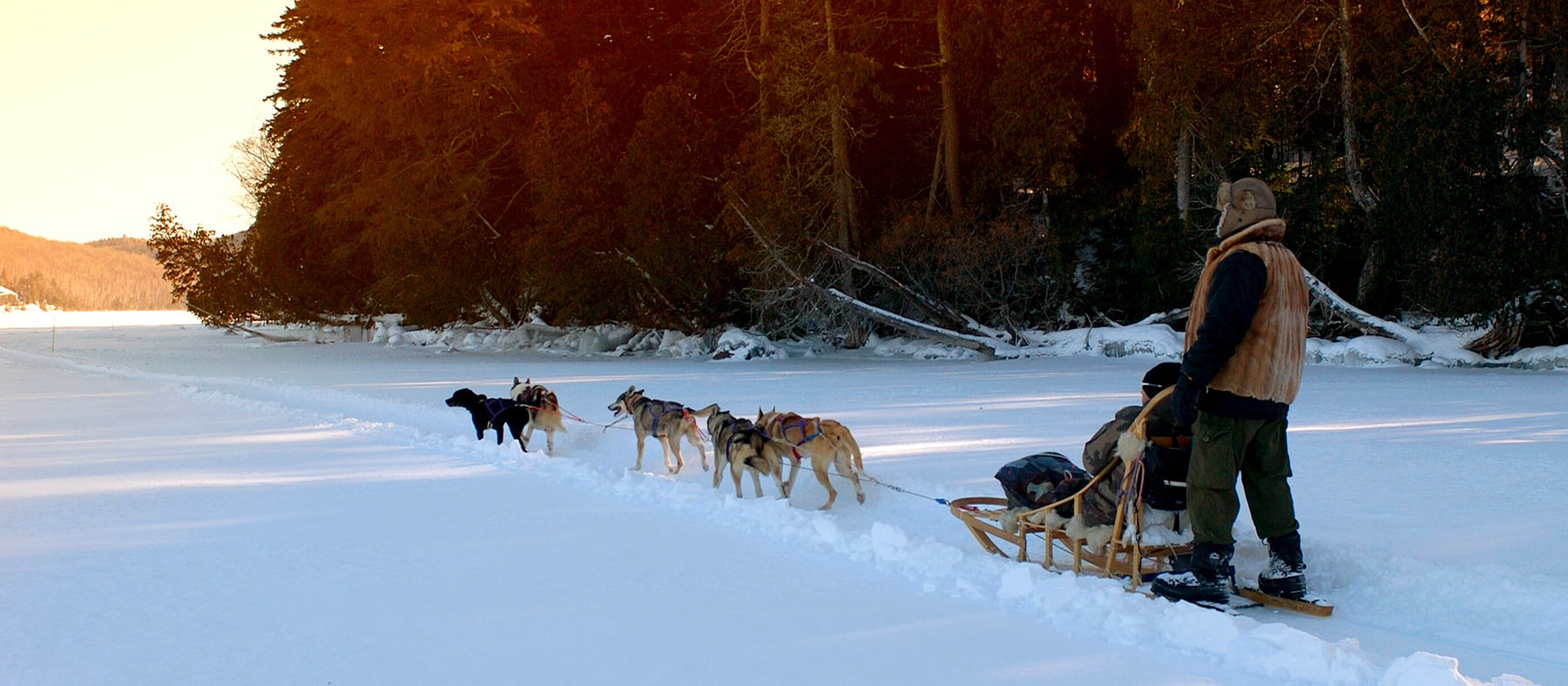 auberge-lac-a-eau-claire-chien-traineaux-quebec-authentique-quebec-le-mag