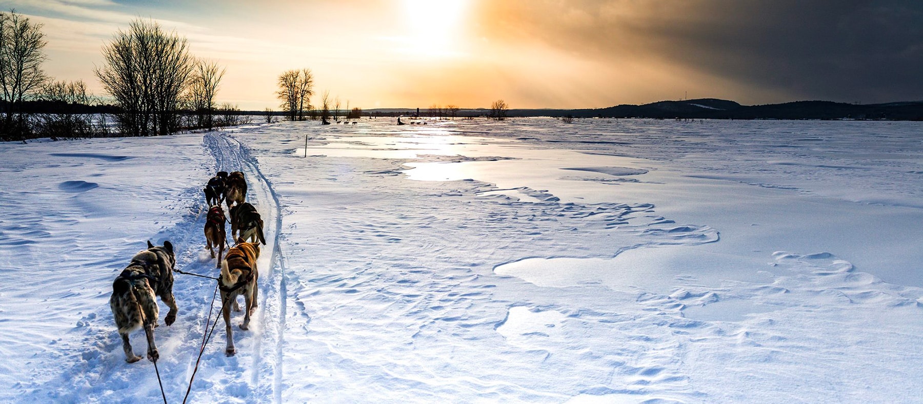 aventures-liguoriennes-chien-traineaux-quebec-authentique-quebec-le-mag