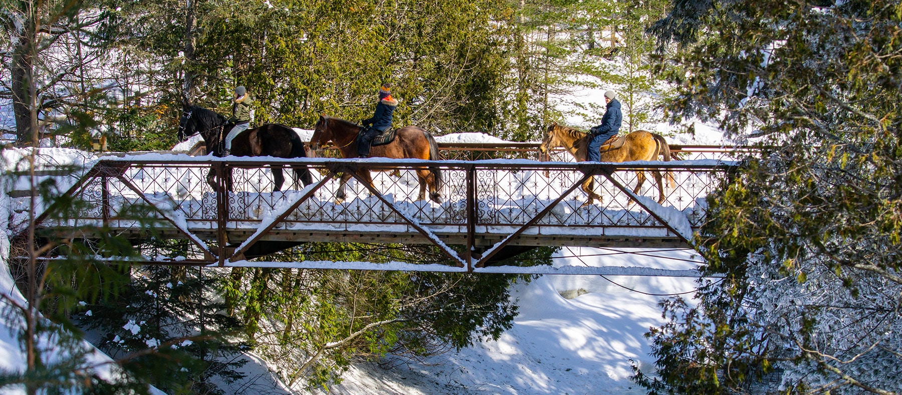 le-baluchon-eco-villegiature-balade-cheval-hiver-quebec-authentique-quebec-le-mag