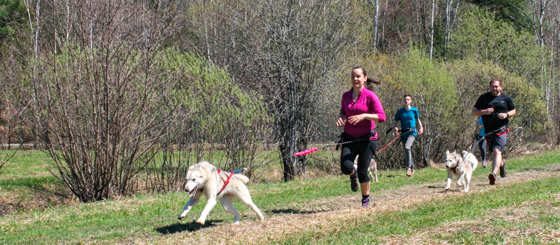 kinadapt-10-endroits-ou-rencontrer-des-animaux-au-quebec-quebec-le-mag