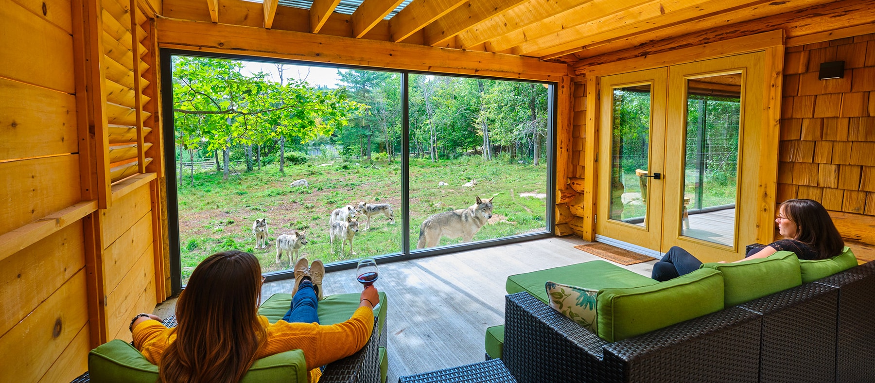 top-10-des-lieux-ou-observer-les-animaux-au-quebec-parc-omega-quebec-le-mag