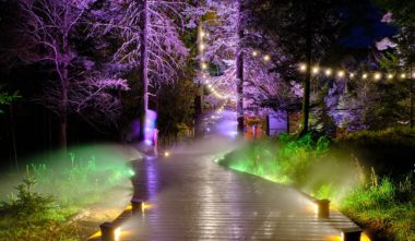 parc-omega-la-nuit-parcours-lumineux-quebec-le-mag