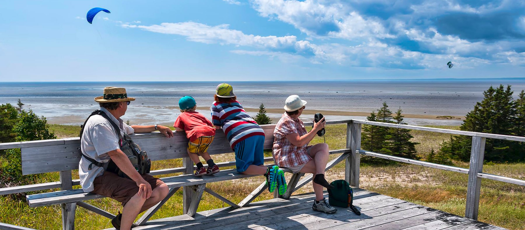parc-nature-pointe-aux-outardes-six-sites-pour-voir-les-oiseaux-quebec-le-mag