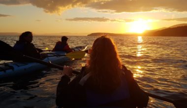 4 Coups de coeur en Gaspésie - Illustration: randonnée en Kayak au Forillon - Coucher de soleil