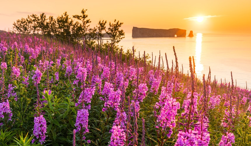 Road trip en Gaspésie - Rocher Percé - Gaspésie (Québec, Canada)