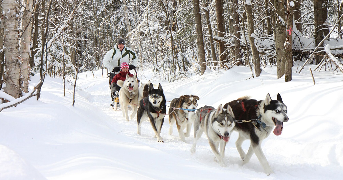 traineau-a-chien-quebec-jouer-dehors-quebec-le-mag