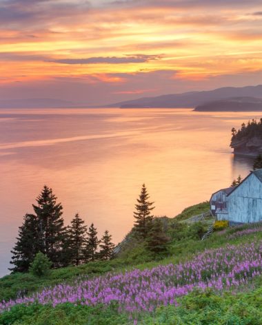 Parc national Forillon - Québec le Mag