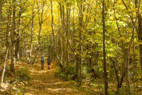 Sentier des Caps de Charlevoix en automne - Photo Jean-Sébastien Perron Studio Drakkar