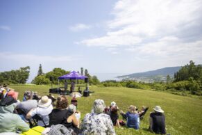 Festival en Chanson Petite Vallée - Edition 2025 - Photo Alexandre Cotton