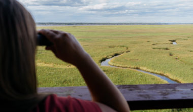 Parc Nature Pointe-aux-Outardes