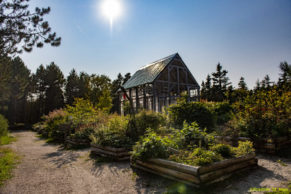 Jardin d'oiseaux du Parc Nature de Pointe aux Outardes - Photo Sébastien St-Jean