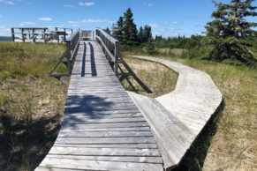 Sentier adapté PMR Parc Nature de Pointe aux Outardes - Photo Sébastien St-Jean