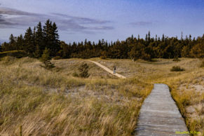 Sentier Parc Nature de Pointe aux Outardes - Photo Sébastien St-Jean