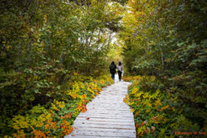 Sentier Parc Nature de Pointe aux Outardes - Photo Sébastien St-Jean