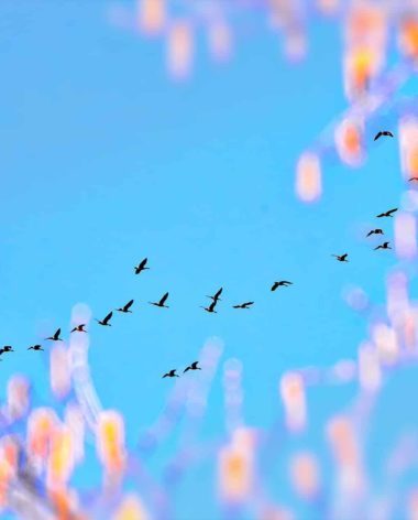 printemps-quebec-le-mag