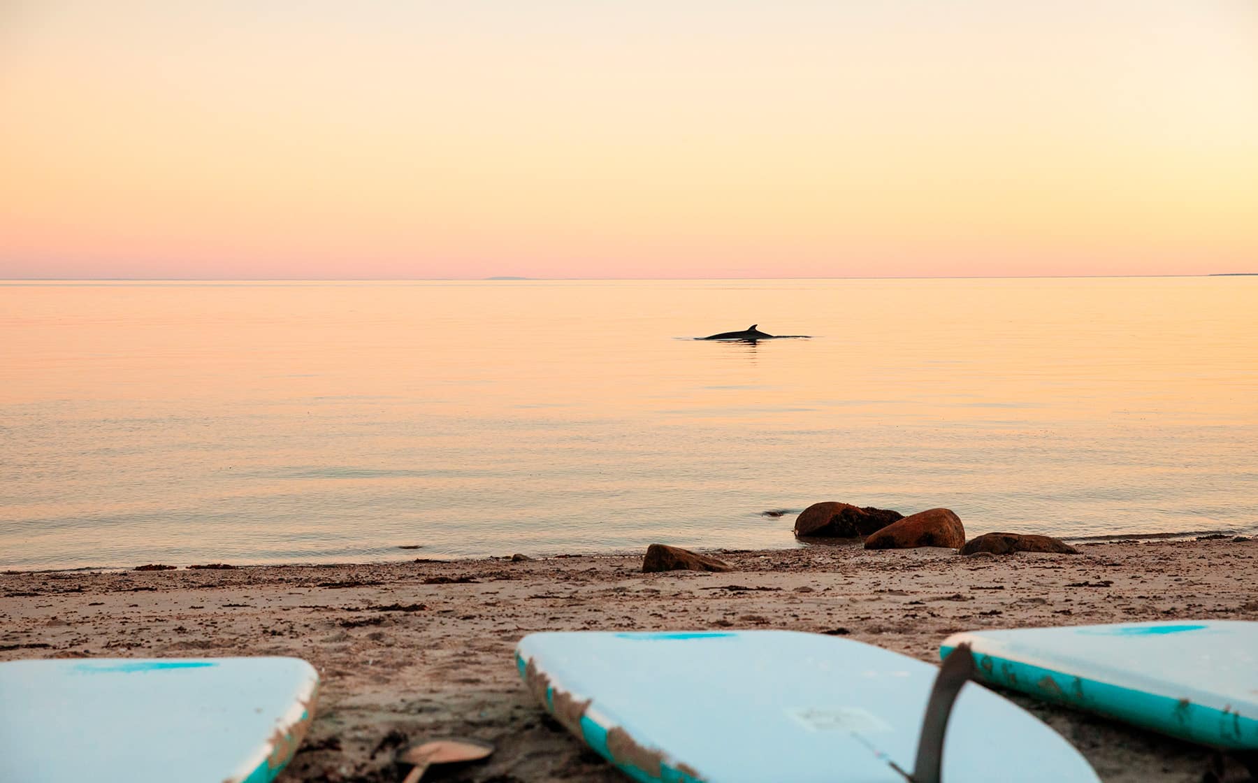 attitude-nordique-coeup-de-coeur-gaspesie-quebec-le-mag