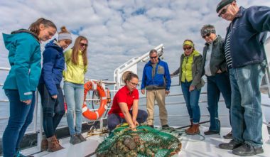 exploramer-voyage-gaspesie-quebec-le-mag