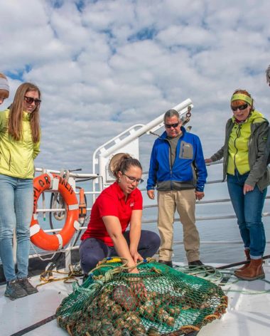 exploramer-voyage-gaspesie-quebec-le-mag
