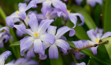 trois-escales-en-gaspesie-quebec-le-mag