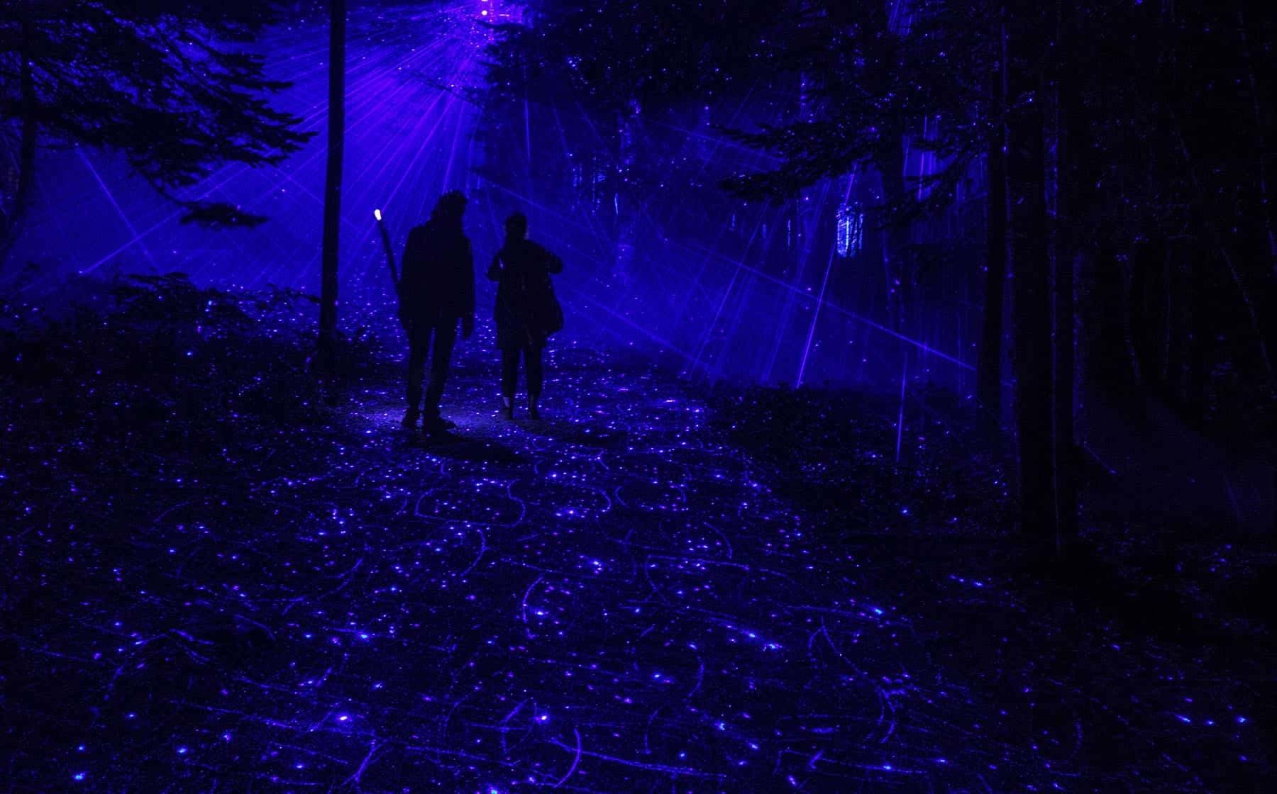 nova-lumina-experience-parc-du-bourg-de-pabos-gaspesie-quebec-le-mag