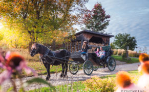 cheval-le-baluchon-eco-villegiature-mauricie-quebec-le-mag