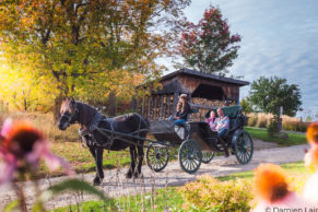 cheval-le-baluchon-eco-villegiature-mauricie-quebec-le-mag