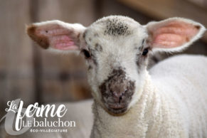 ferme-le-baluchon-eco-villegiature-mauricie-quebec-le-mag