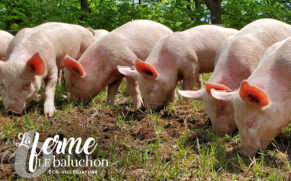 la-ferme-le-baluchon-eco-villegiature-mauricie-quebec-le-mag
