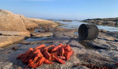 Pêche au homard en Côte Nord avec la Famille Lalo