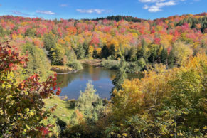 Extérieur du domaine durant l'automne - Coteaux Missisquoi - Cantons de l'Est du Québec | Québec le Mag