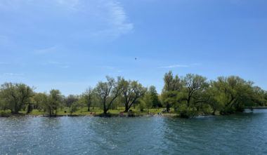 Visiter les Îles de Toronto : vue de l'aspect verdoyant de l'archipel
