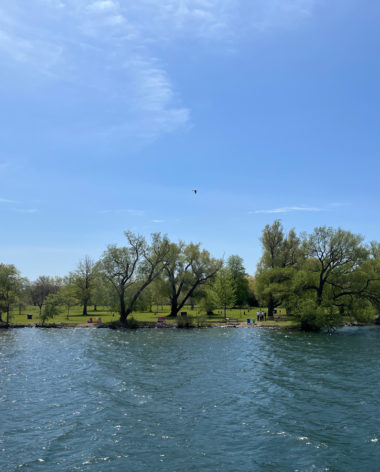 Visiter les Îles de Toronto : vue de l'aspect verdoyant de l'archipel