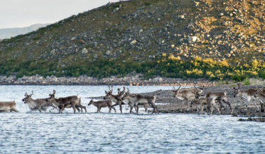 Mushuau Nipi - Tourisme Autochtone Québec