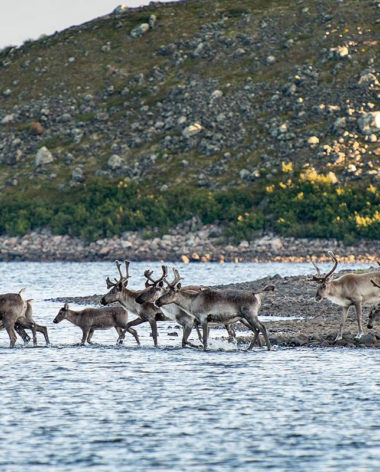 Mushuau Nipi - Tourisme Autochtone Québec