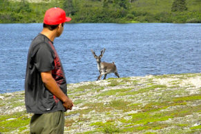 Mushuau Nipi - Tourisme Autochtone Québec