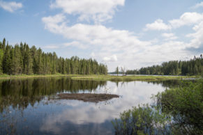 Corporation Nibiishii - Réserve faunique de pêche en Eeyou Istchee Baie-James