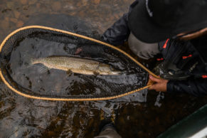 Corporation Nibiishii - Réserve faunique de pêche en Eeyou Istchee Baie-James