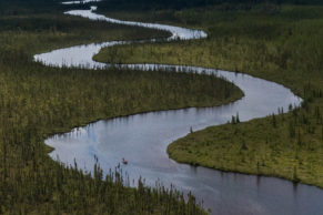 Corporation Nibiishii - Réserve faunique de pêche en Eeyou Istchee Baie-James