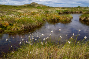 Tourisme Winipeukut Nature - Basse Côte-Nord