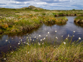 Tourisme Winipeukut Nature - Basse Côte-Nord