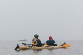 Kayak de mer avec Mer et Monde Ecotours - Photo Magalie Massey