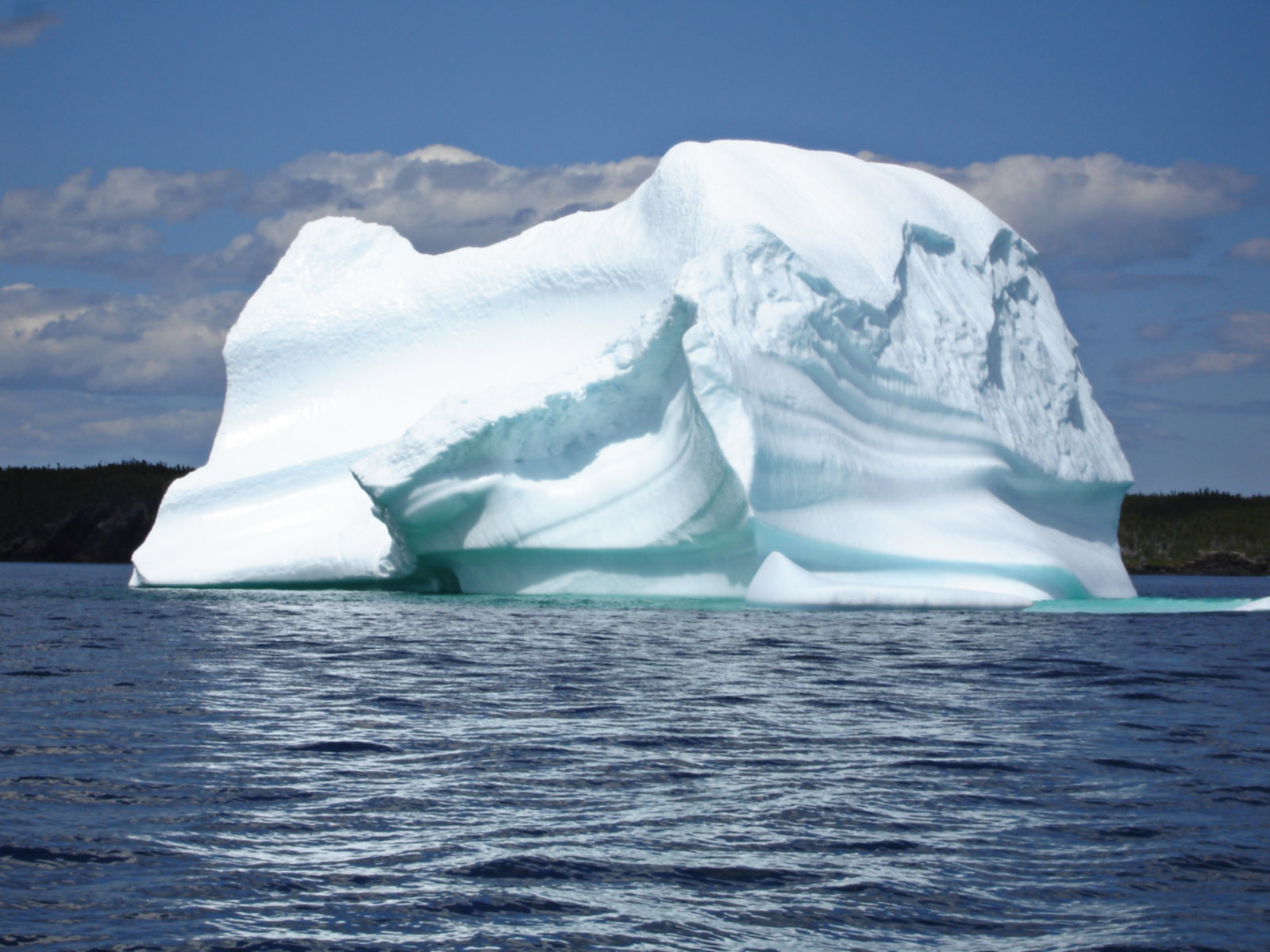 Observer les icebergs à Terre-Neuve et Labrador - Québec Le Mag