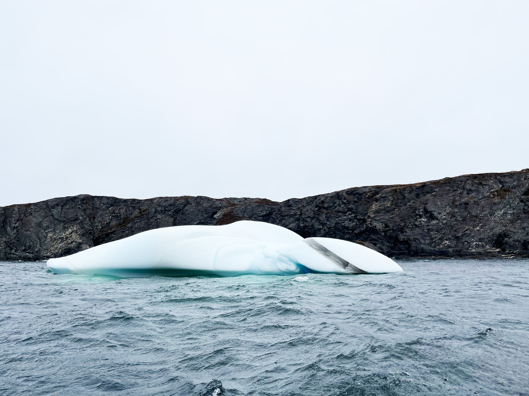 Observer les icebergs à Terre-Neuve et Labrador - Québec Le Mag