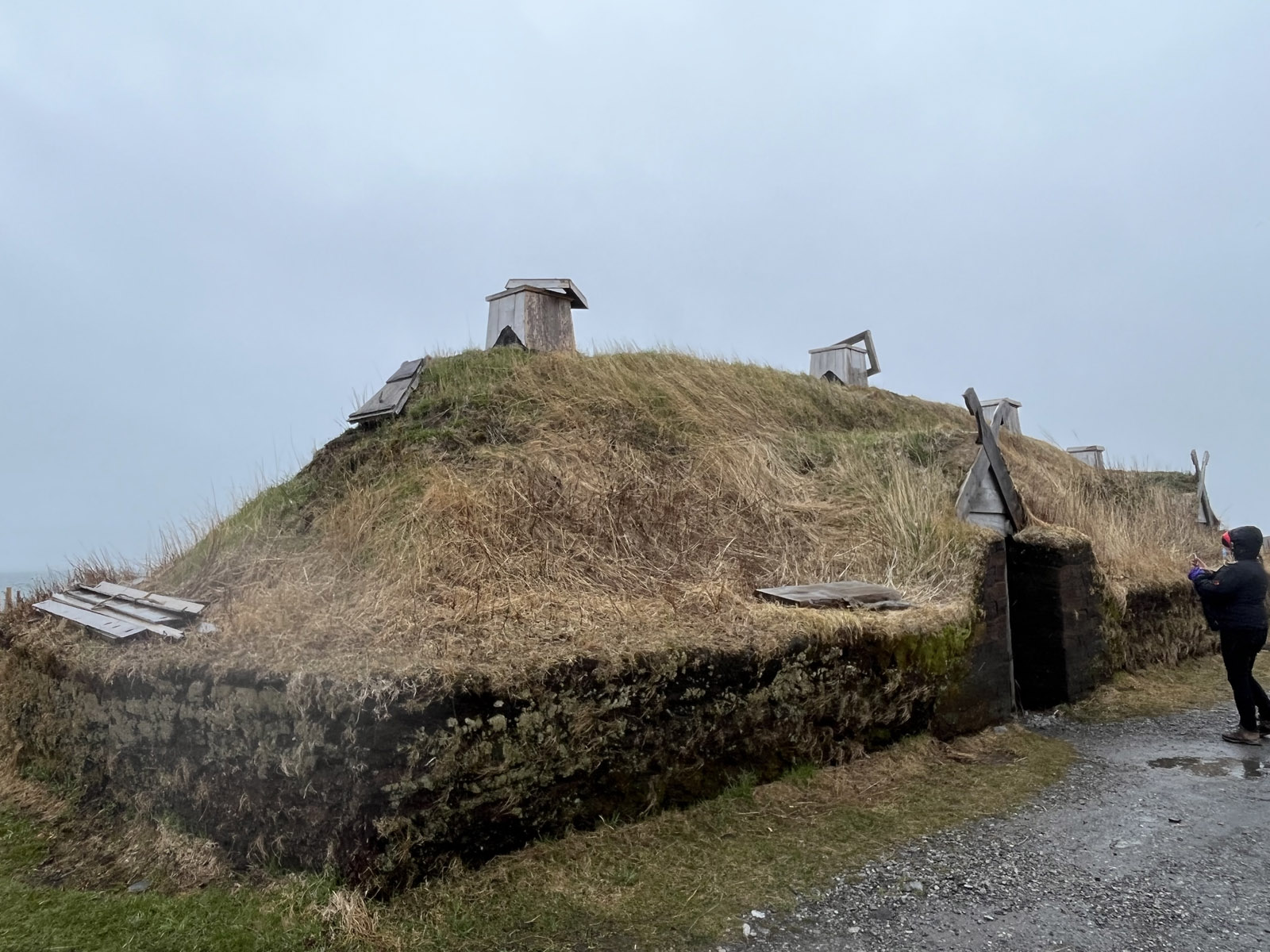 Sur les traces des vikings à l'Anse aux Meadows, Terre-Neuve et Labrador - Québec Le Mag