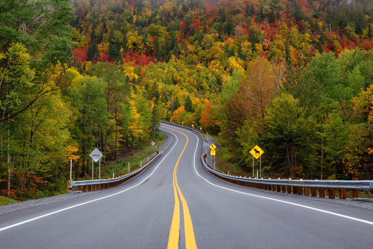 Road Trip au Québec : route traversant le Parc Forillon en automne