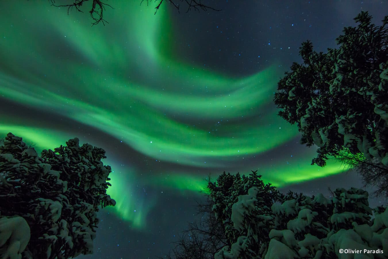 Aurores boréales dans le Parc national Kuururjuaq - Hiver au Nunavik - Photo Olivier Paradis
