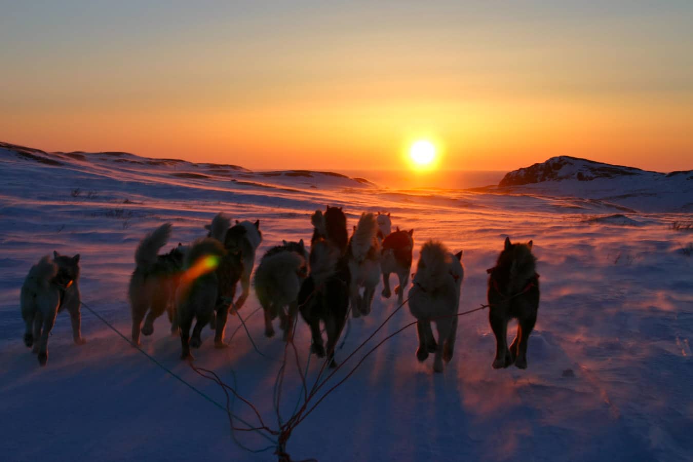Randonnée en traineau à chiens au coucher du soleil avec aventures Inuit - Hiver au Nunavik - Photo Isabelle Dubois