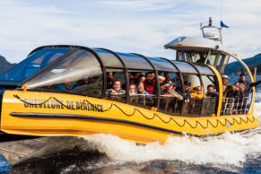 Croisière aux baleines avec Saguenay Aventures